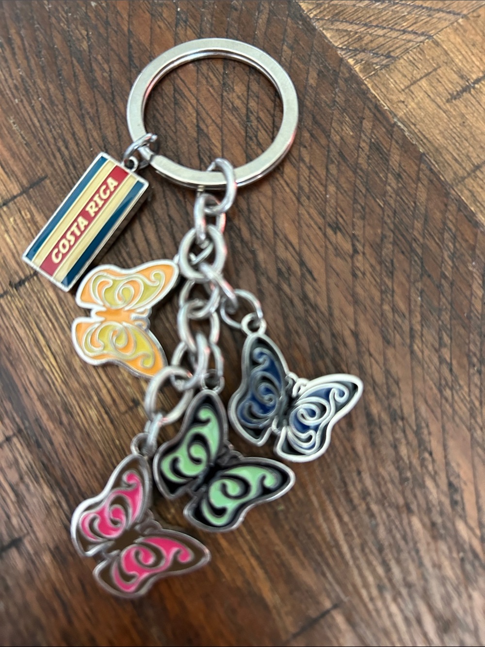 Multicolor Butterfly Enamel Charm Costa Rica Keychain